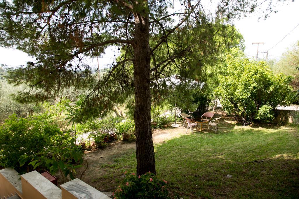 Almyros Studios & Apartments Kounopetra Екстер'єр фото